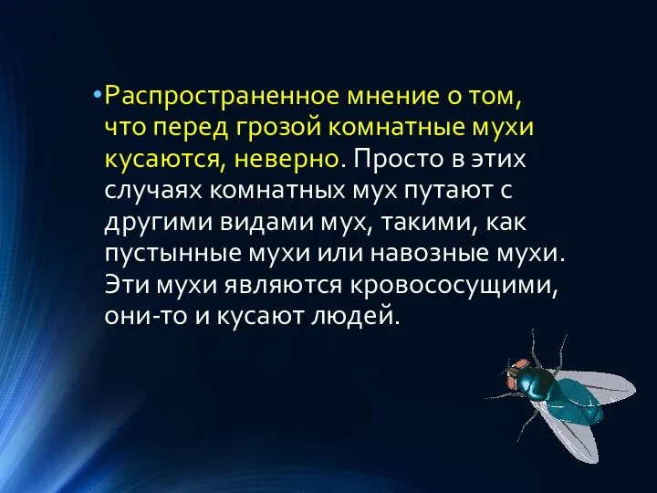 Распространенное мнение о том, что перед грозой комнатные мухи кусаются, неверно.