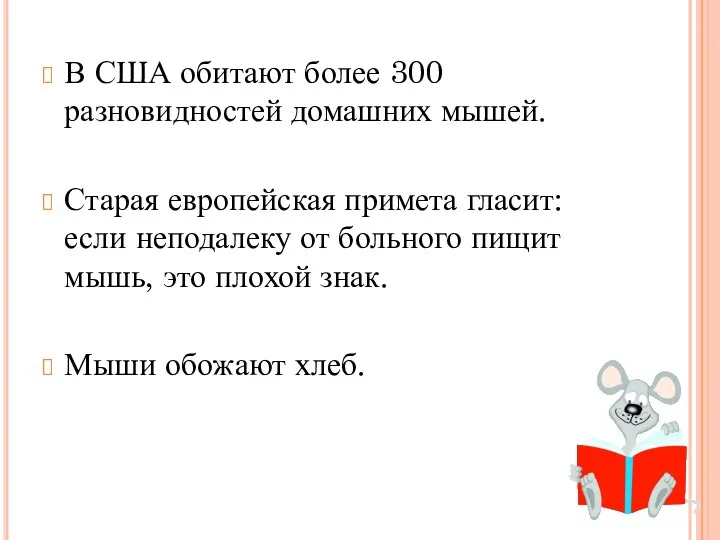 В США обитают более 300 разновидностей домашних мышей. Старая европейская примета