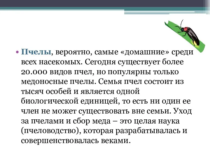 Пчелы, вероятно, самые «домашние» среди всех насекомых. Сегодня существует более 20.000