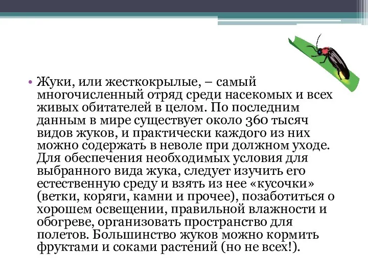 Жуки, или жесткокрылые, – самый многочисленный отряд среди насекомых и всех