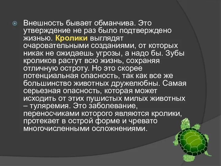 Внешность бывает обманчива. Это утверждение не раз было подтверждено жизнью. Кролики