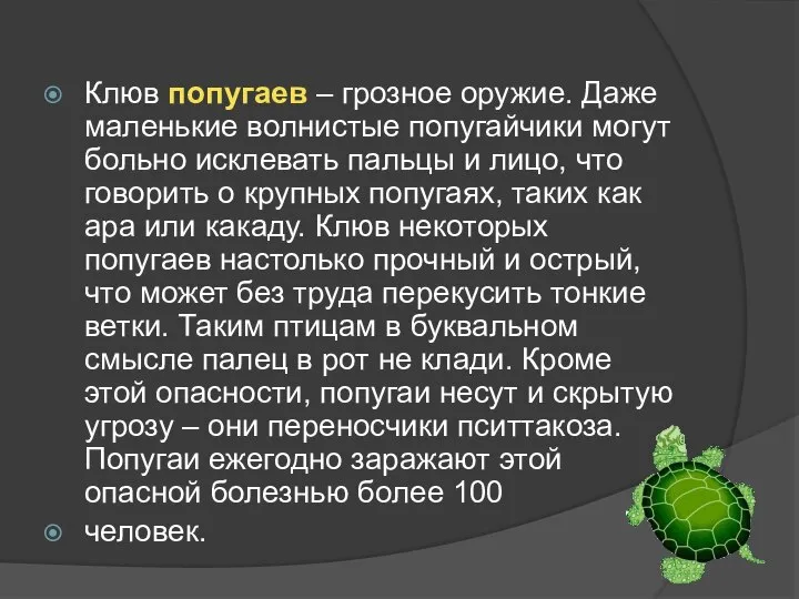 Клюв попугаев – грозное оружие. Даже маленькие волнистые попугайчики могут больно