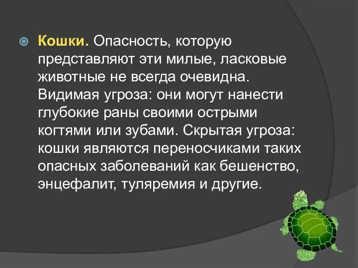 Кошки. Опасность, которую представляют эти милые, ласковые животные не всегда очевидна.