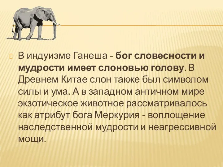 В индуизме Ганеша - бог словесности и мудрости имеет слоновью голову.