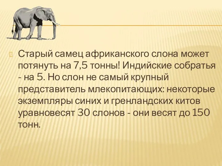 Старый самец африканского слона может потянуть на 7,5 тонны! Индийские собратья