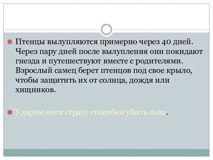 Птенцы вылупляются примерно через 40 дней. Через пару дней после вылупления