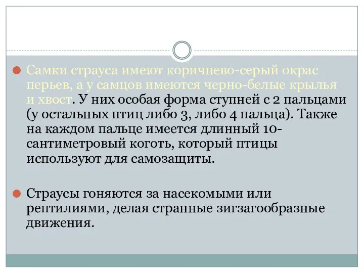 Самки страуса имеют коричнево-серый окрас перьев, а у самцов имеются черно-белые