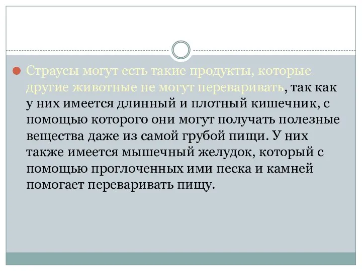 Страусы могут есть такие продукты, которые другие животные не могут переваривать,