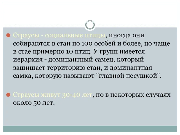 Страусы - социальные птицы, иногда они собираются в стаи по 100