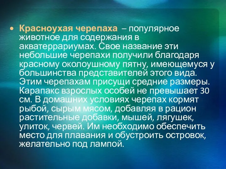 Красноухая черепаха – популярное животное для содержания в акватеррариумах. Свое название