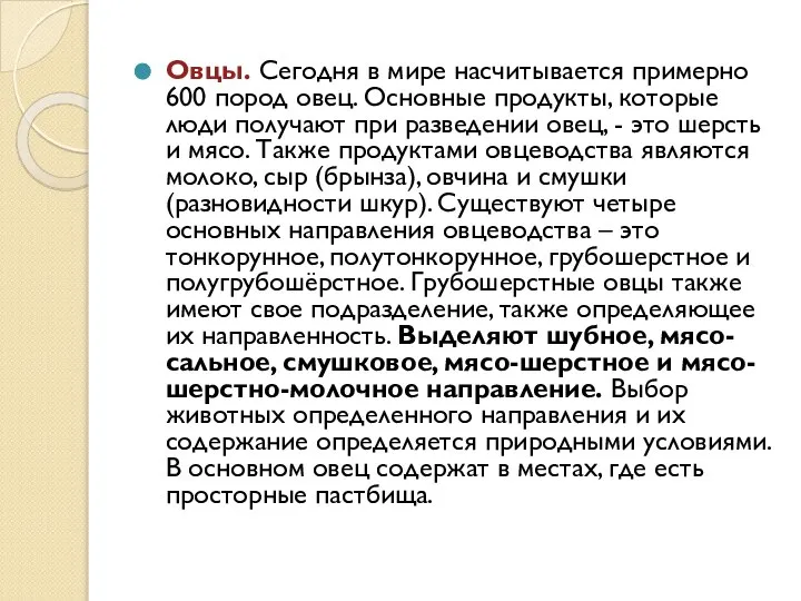 Овцы. Сегодня в мире насчитывается примерно 600 пород овец. Основные продукты,