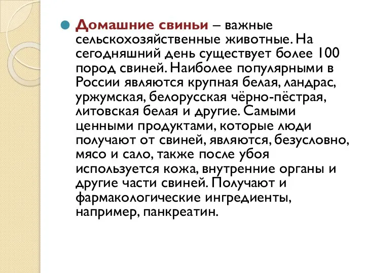 Домашние свиньи – важные сельскохозяйственные животные. На сегодняшний день существует более