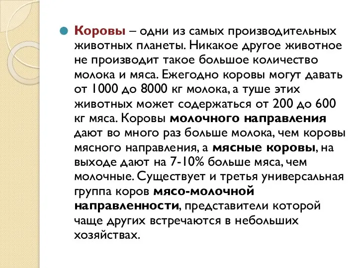 Коровы – одни из самых производительных животных планеты. Никакое другое животное