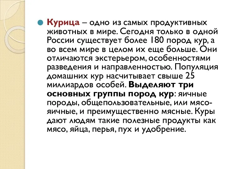 Курица – одно из самых продуктивных животных в мире. Сегодня только