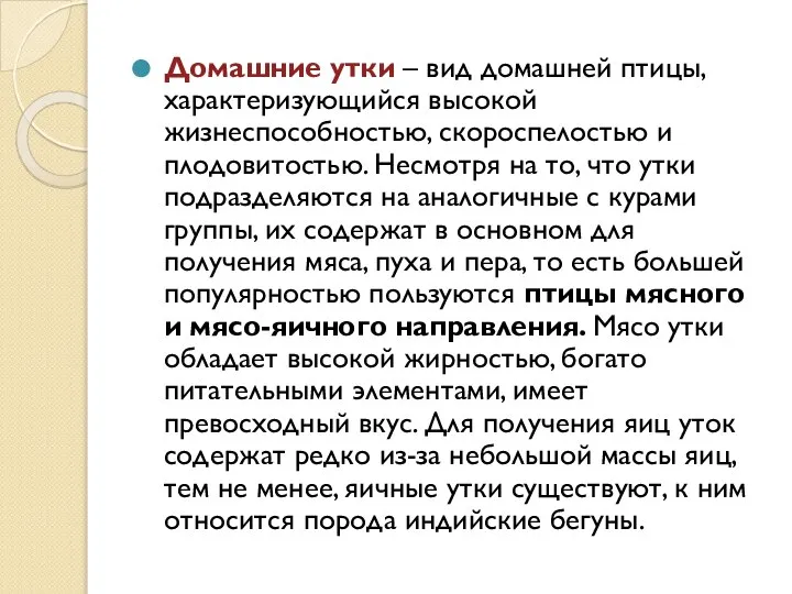 Домашние утки – вид домашней птицы, характеризующийся высокой жизнеспособностью, скороспелостью и