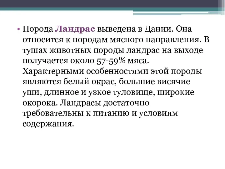 Порода Ландрас выведена в Дании. Она относится к породам мясного направления.