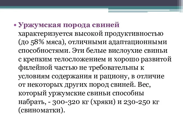 Уржумская порода свиней характеризуется высокой продуктивностью (до 58% мяса), отличными адаптационными