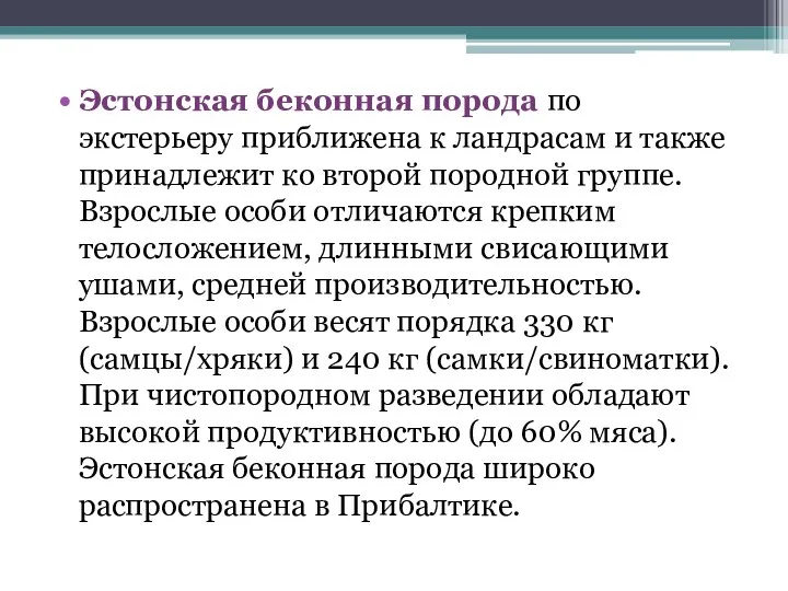 Эстонская беконная порода по экстерьеру приближена к ландрасам и также принадлежит