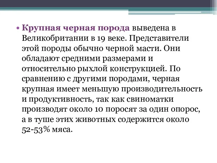 Крупная черная порода выведена в Великобритании в 19 веке. Представители этой