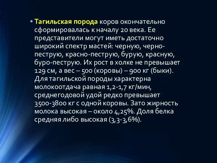 Тагильская порода коров окончательно сформировалась к началу 20 века. Ее представители