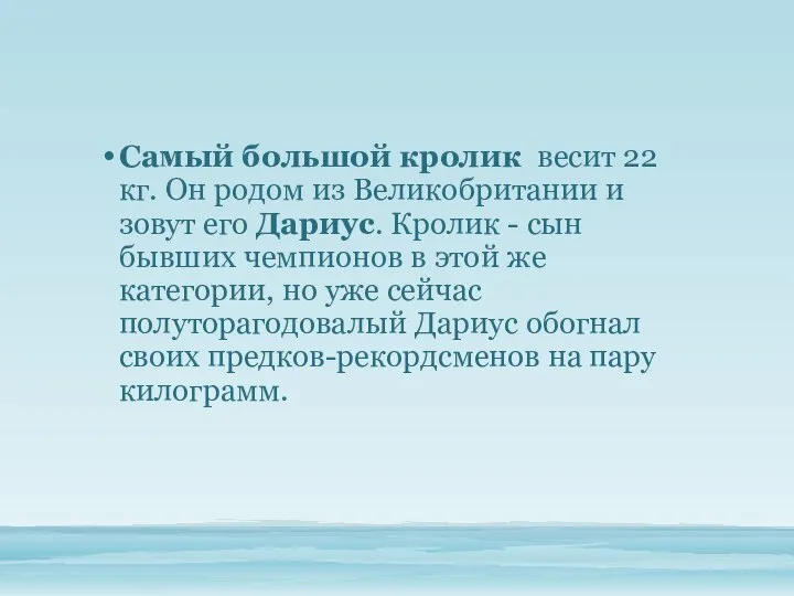 Самый большой кролик весит 22 кг. Он родом из Великобритании и