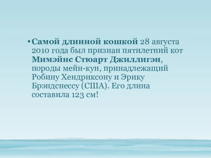 Самой длинной кошкой 28 августа 2010 года был признан пятилетний кот