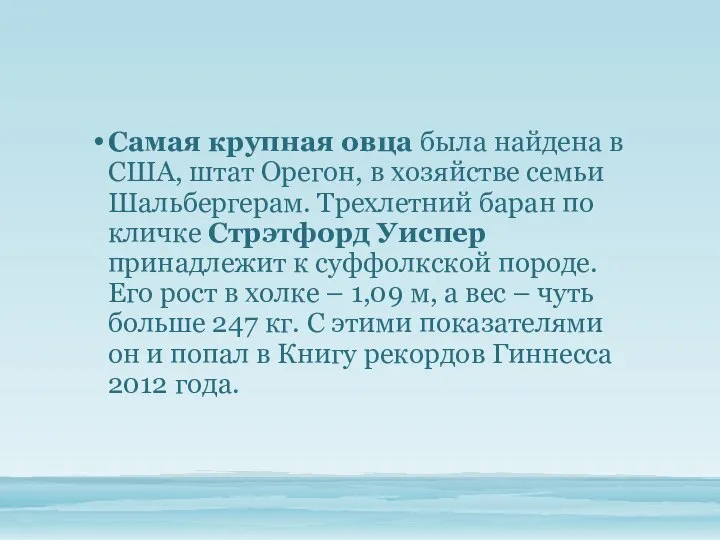 Самая крупная овца была найдена в США, штат Орегон, в хозяйстве