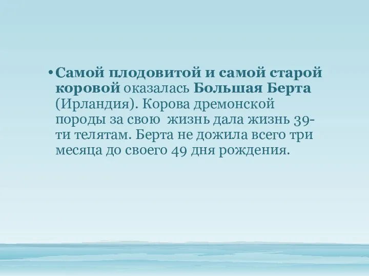 Самой плодовитой и самой старой коровой оказалась Большая Берта (Ирландия). Корова