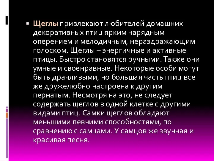 Щеглы привлекают любителей домашних декоративных птиц ярким нарядным оперением и мелодичным,