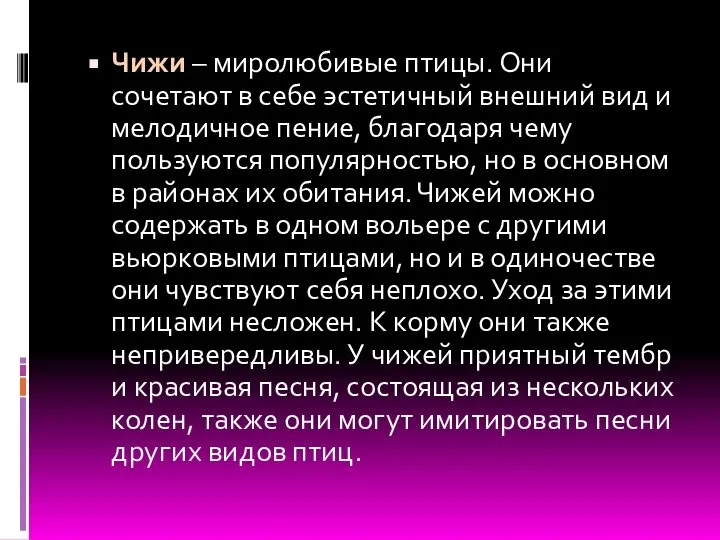 Чижи – миролюбивые птицы. Они сочетают в себе эстетичный внешний вид