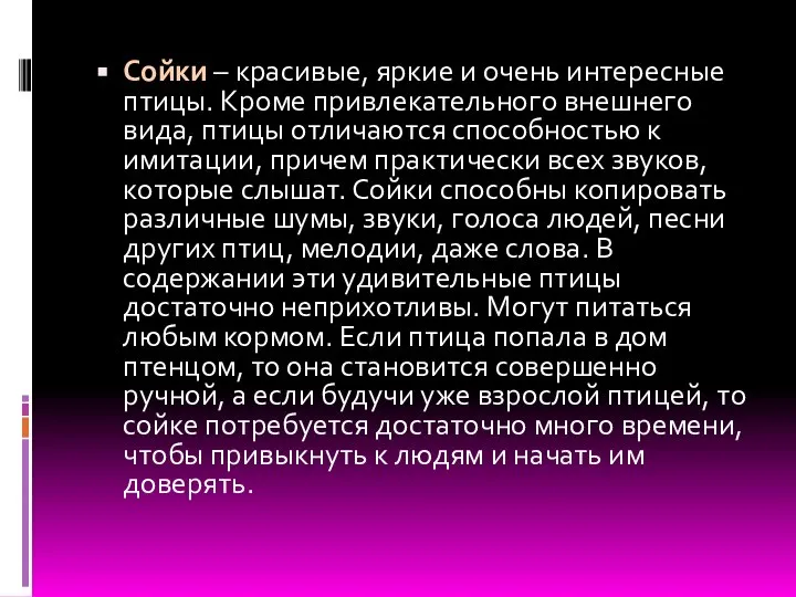 Сойки – красивые, яркие и очень интересные птицы. Кроме привлекательного внешнего