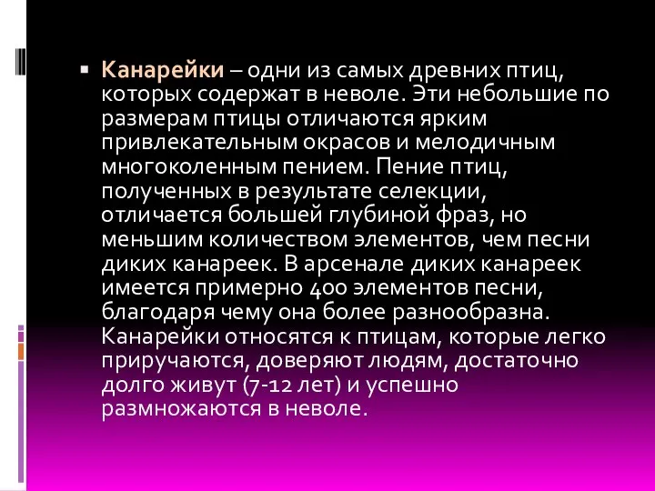 Канарейки – одни из самых древних птиц, которых содержат в неволе.