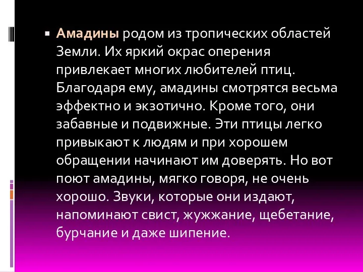 Амадины родом из тропических областей Земли. Их яркий окрас оперения привлекает