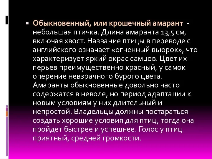 Обыкновенный, или крошечный амарант - небольшая птичка. Длина амаранта 13,5 см,