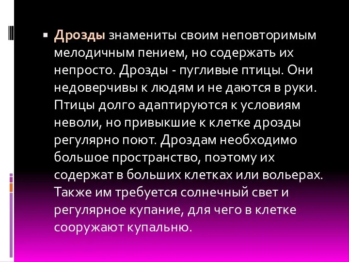 Дрозды знамениты своим неповторимым мелодичным пением, но содержать их непросто. Дрозды