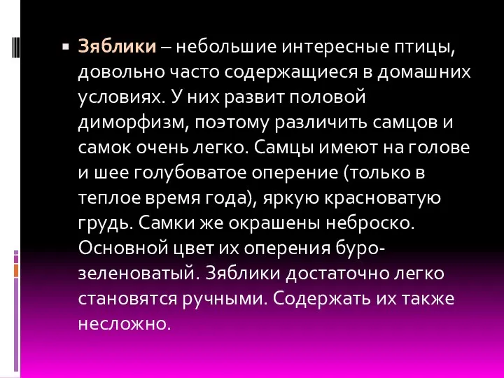 Зяблики – небольшие интересные птицы, довольно часто содержащиеся в домашних условиях.