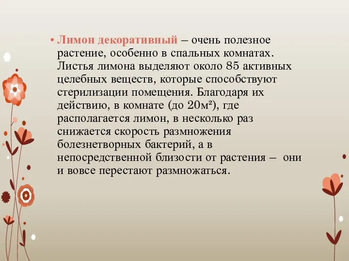 Лимон декоративный – очень полезное растение, особенно в спальных комнатах. Листья