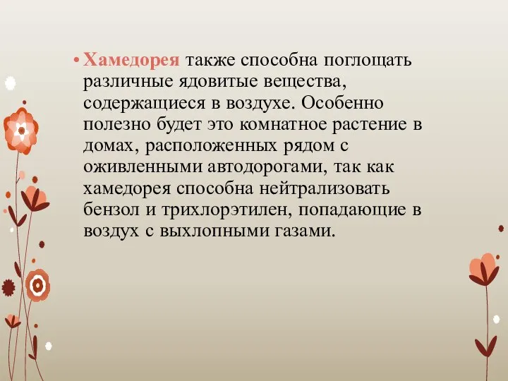 Хамедорея также способна поглощать различные ядовитые вещества, содержащиеся в воздухе. Особенно