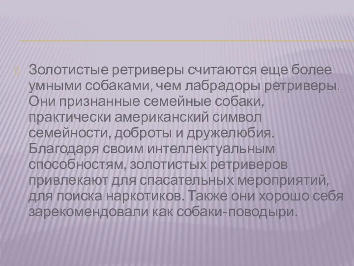 Золотистые ретриверы считаются еще более умными собаками, чем лабрадоры ретриверы. Они