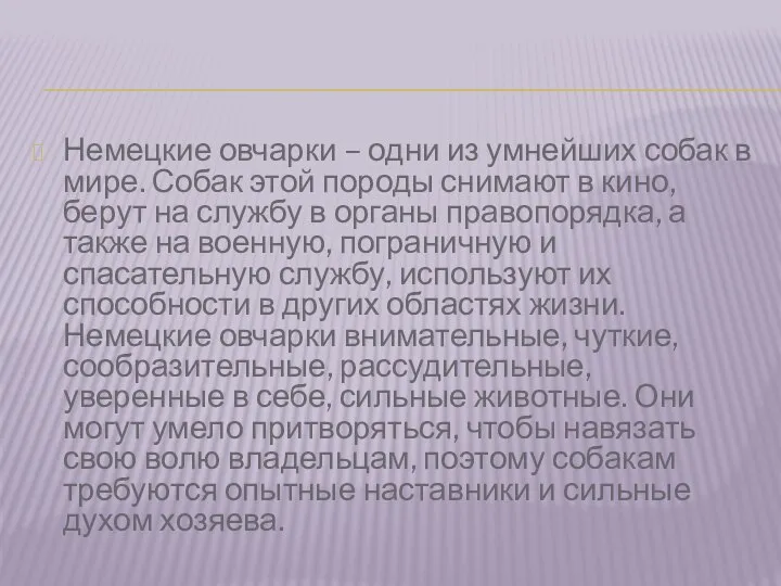 Немецкие овчарки – одни из умнейших собак в мире. Собак этой