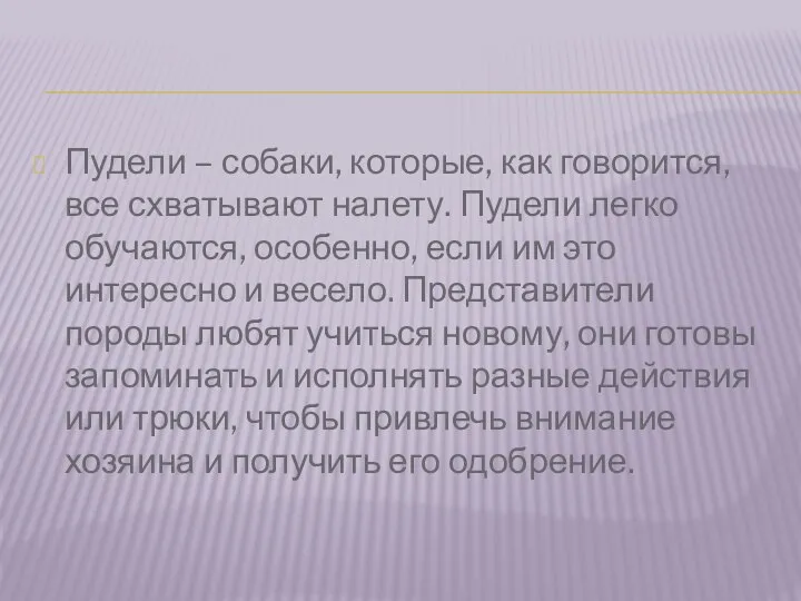 Пудели – собаки, которые, как говорится, все схватывают налету. Пудели легко