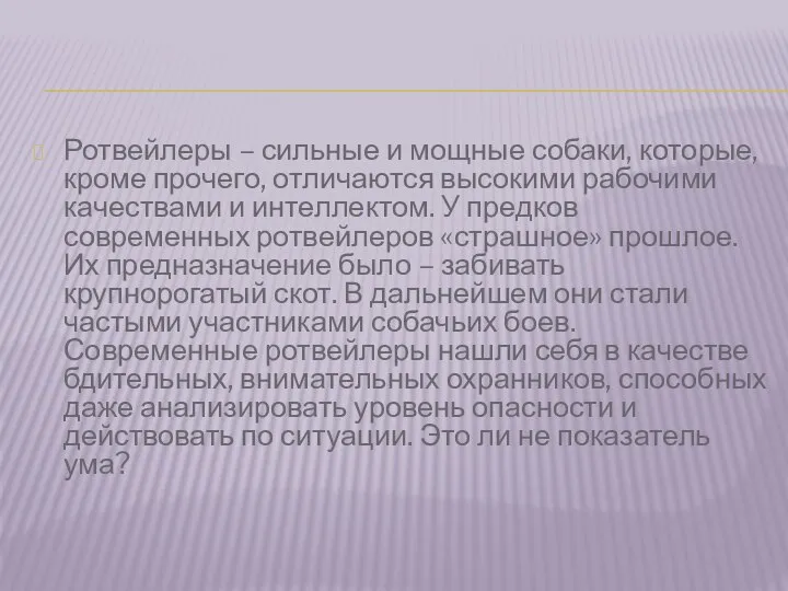 Ротвейлеры – сильные и мощные собаки, которые, кроме прочего, отличаются высокими