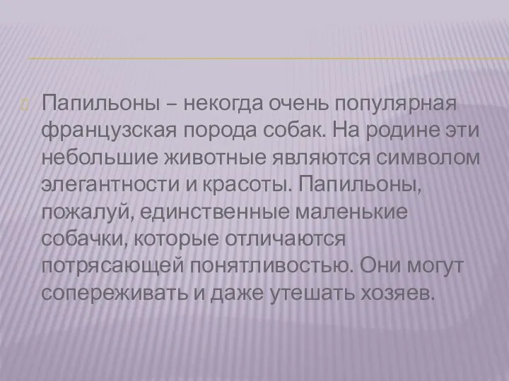 Папильоны – некогда очень популярная французская порода собак. На родине эти