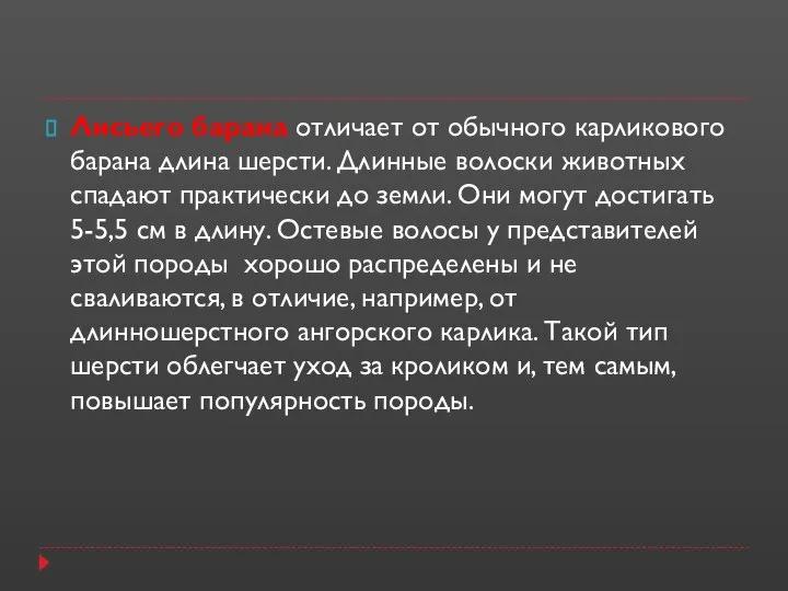 Лисьего барана отличает от обычного карликового барана длина шерсти. Длинные волоски