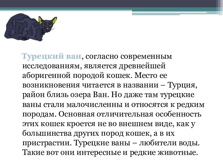 Турецкий ван, согласно современным исследованиям, является древнейшей аборигенной породой кошек. Место