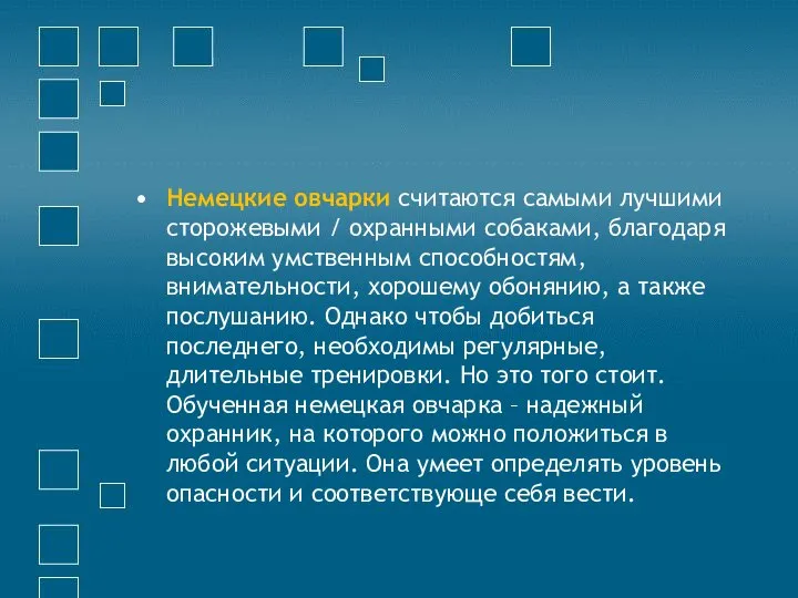 Немецкие овчарки считаются самыми лучшими сторожевыми / охранными собаками, благодаря высоким