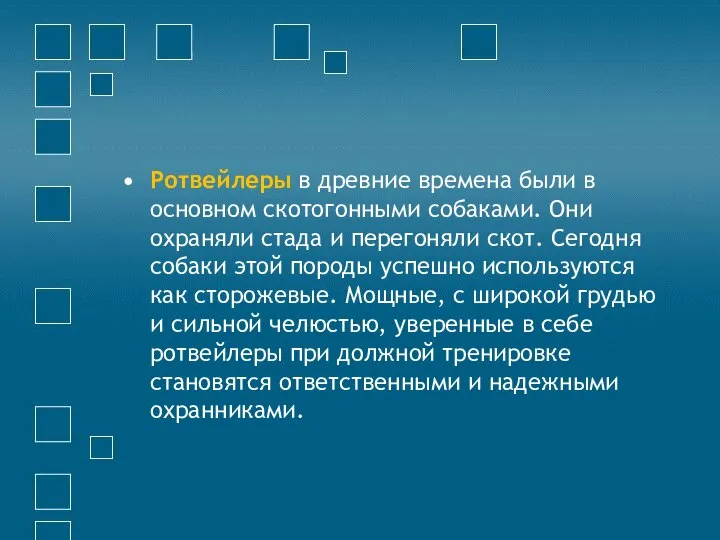 Ротвейлеры в древние времена были в основном скотогонными собаками. Они охраняли