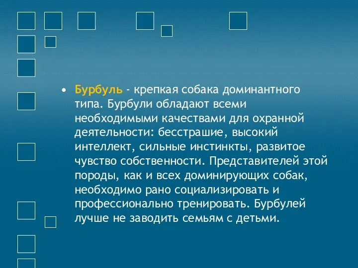 Бурбуль - крепкая собака доминантного типа. Бурбули обладают всеми необходимыми качествами