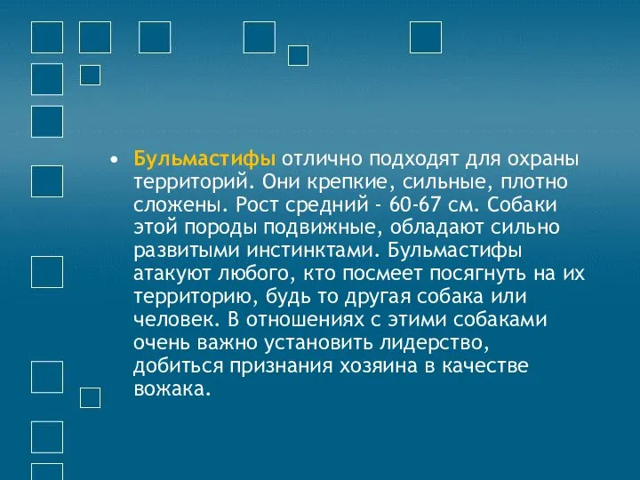 Бульмастифы отлично подходят для охраны территорий. Они крепкие, сильные, плотно сложены.