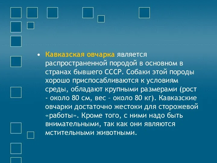 Кавказская овчарка является распространенной породой в основном в странах бывшего СССР.